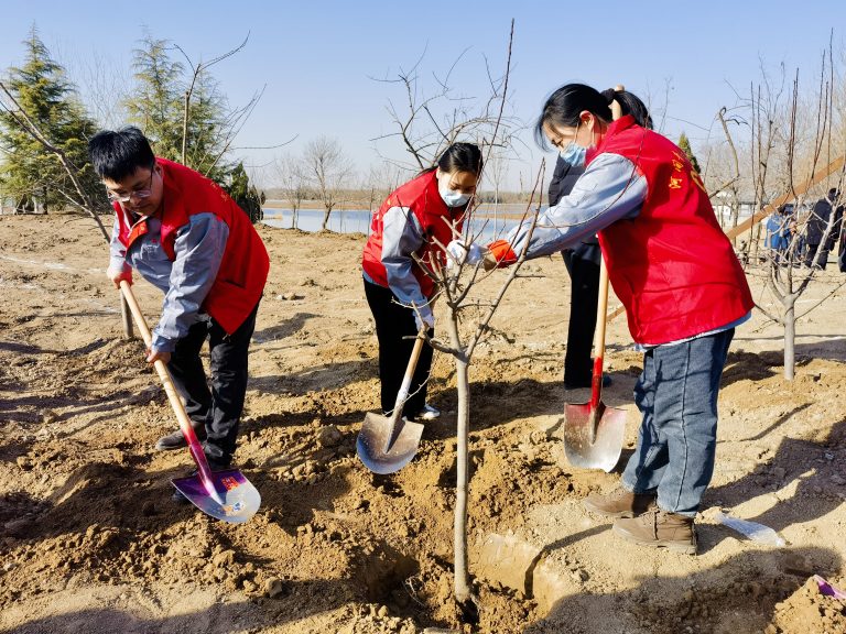 XINYU volunteers planting tree to protect envirement